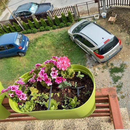 Apartmants Djekovi Охрид Екстериор снимка